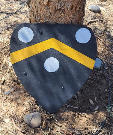 Heart Shield